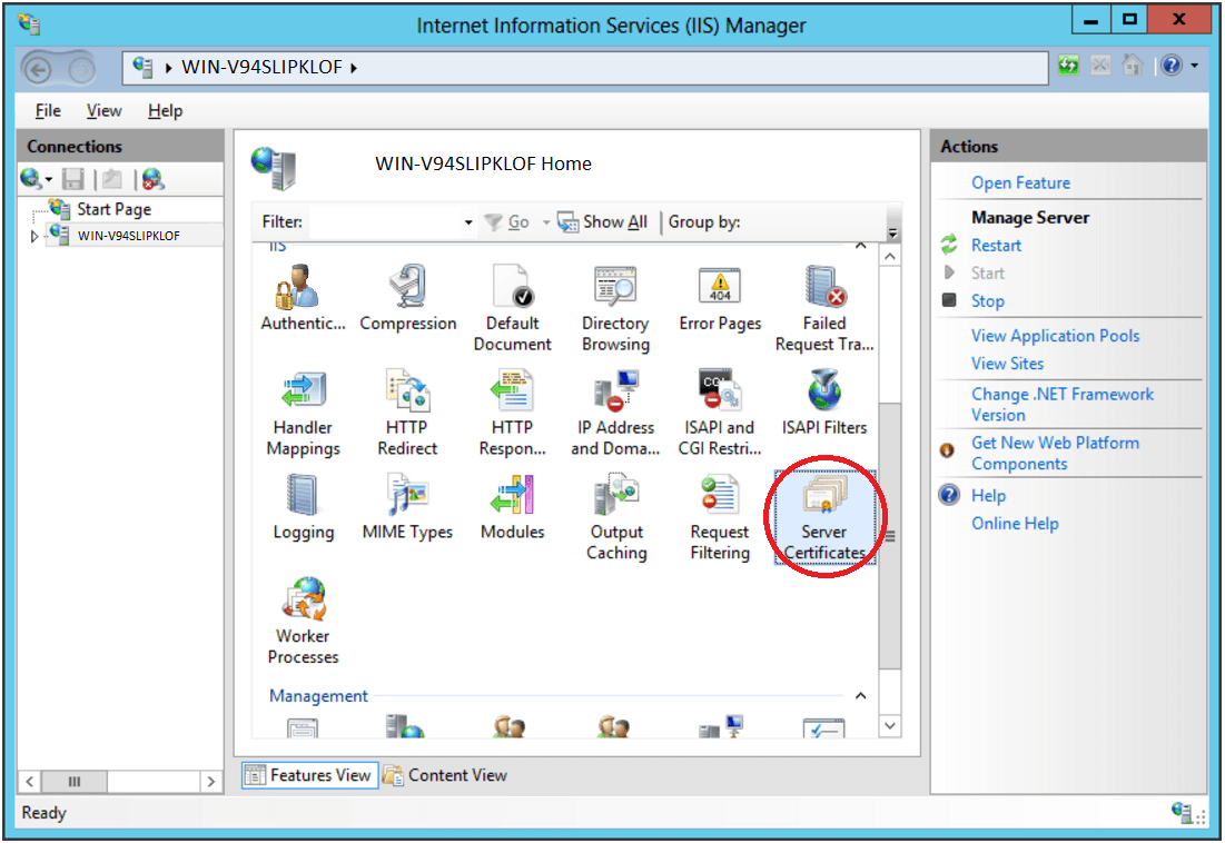 IIS Manager Server Certificates