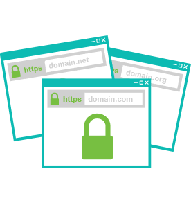 Multi Domain SAN SSL Type Image
